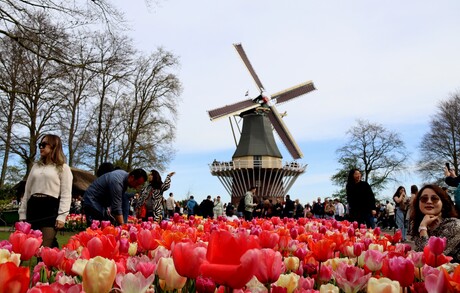 Keukenhof
