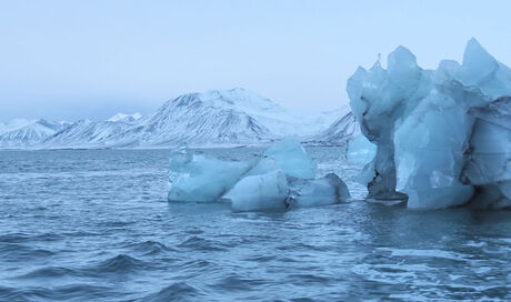 take some ice for your drink 