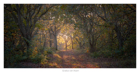 Vlieland in de herfst