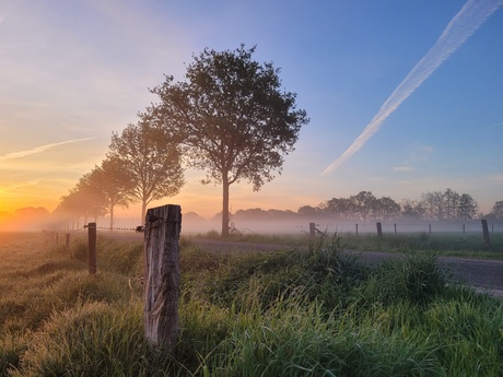 Lijnen in de ochtend mist