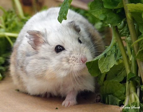 "Hmmm whats this...."