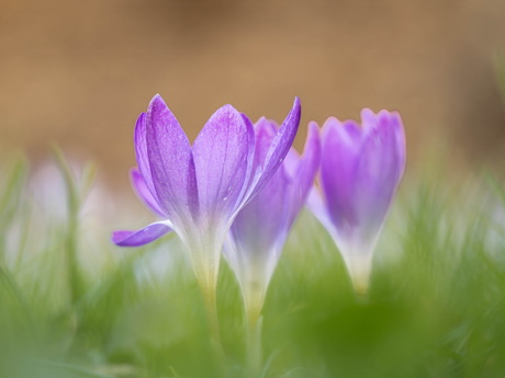 En dan is het alweer voorbij.