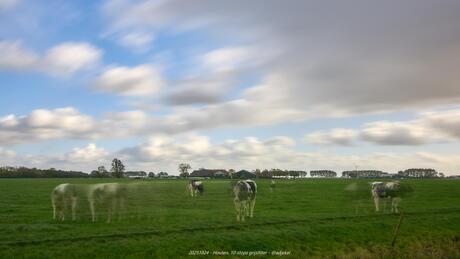 Wolken en koeien in beweging