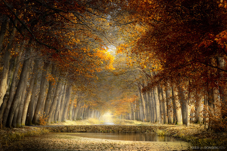 Autumn in the Netherlands