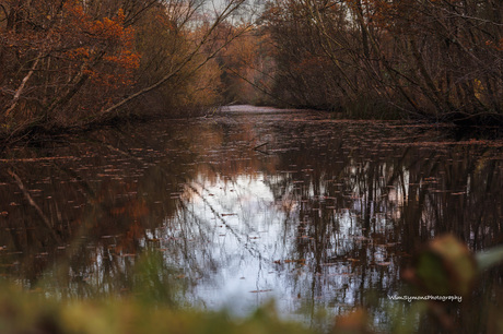 Herfst sfeer aan Antitank gracht