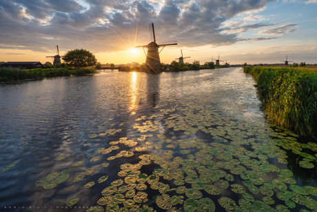 Dutch golden light