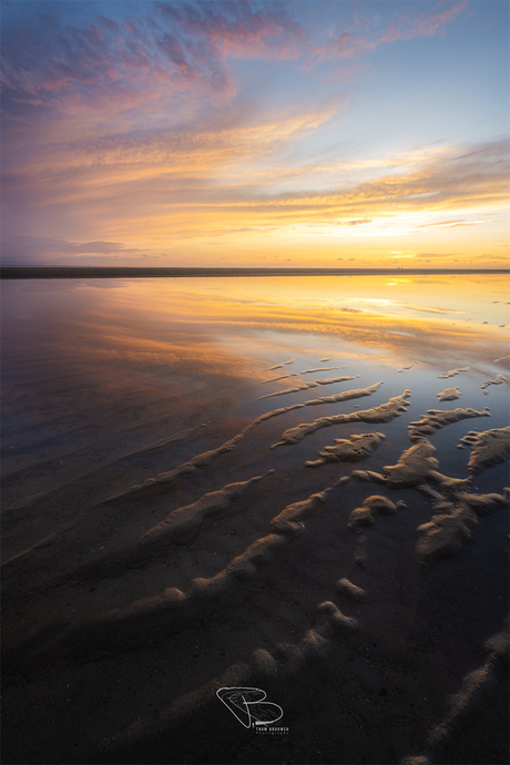 Kleur aan de kust