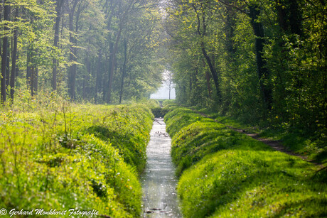 Water en landschap