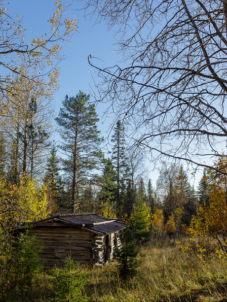 Näränkä wilderness farm