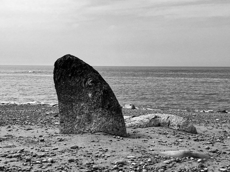 Haai aan de Franse kust