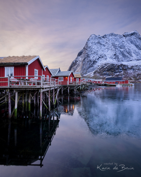 Houses in Reine!