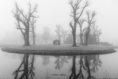 Mist