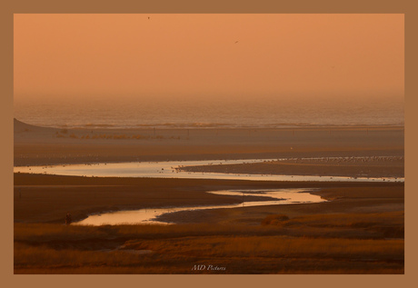 Texel