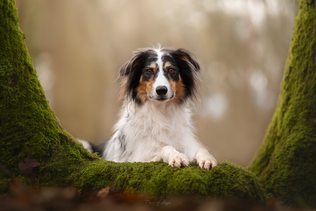 Framed by green 💚