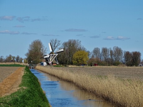 groniger landschap