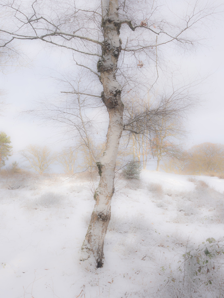 Waar je anders zó voorbij loopt...