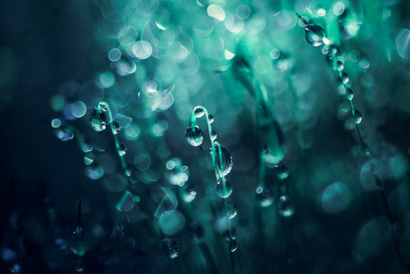 Druppels en nog meer druppels