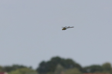 Een helikopter?