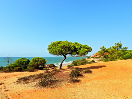 Algarve Portugal 