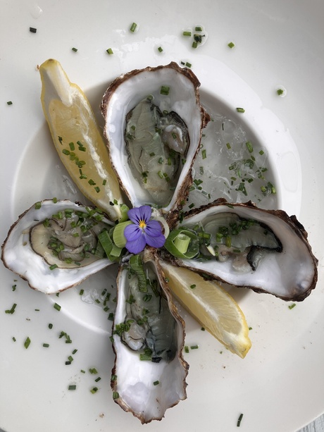 Oesters…..