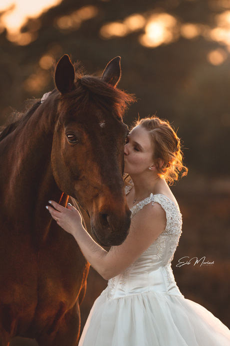 Close-up van paard en eigenaar met zonsondergang
