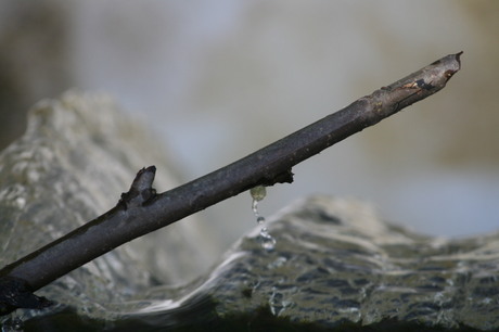 Dripping