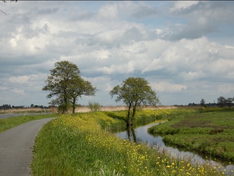 Landschap 