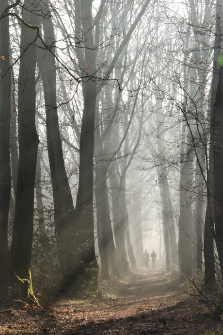 ochtend wandeling