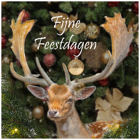 Feestdagen