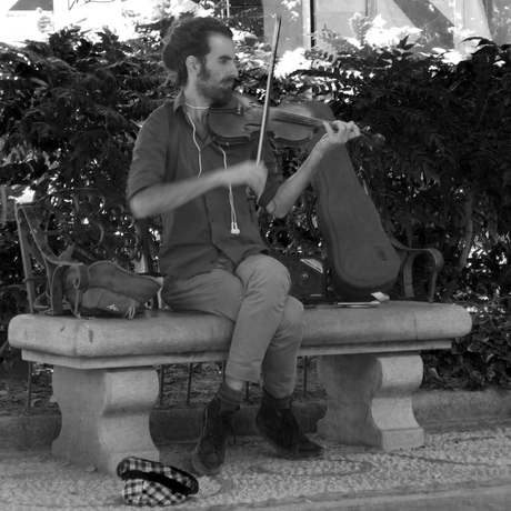 Straat violist in Granada