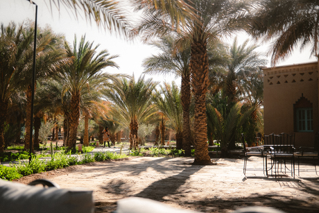 Schoonmaakster in paradijs