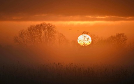 Zonsopkomst gelukje