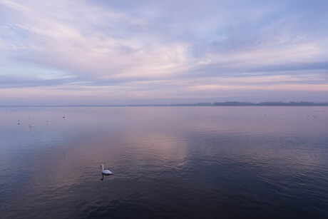 Mist op het Gooimeer