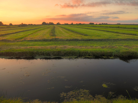 Lijnenspel in avondgloed