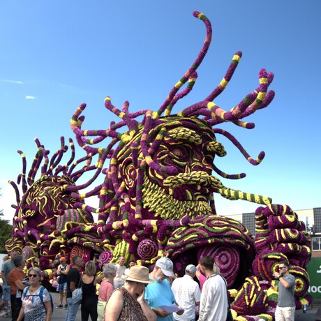 Bloemencorso Zundert maandag op tentoonstellingsterrein_5