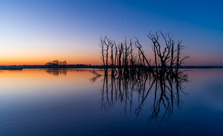 Tusschenwater zonsopkomst
