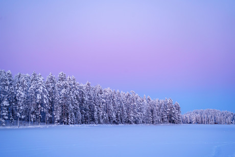 Shades of snow  nr, 2