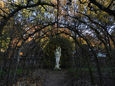 Herfst in de kruidentuin