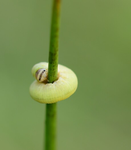 Omarm me ♪♫ omarm me ♫♪♫