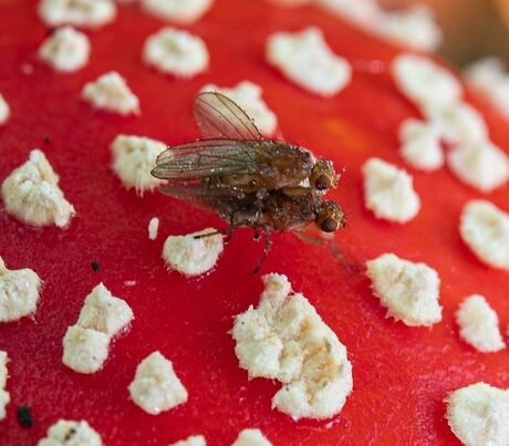 Ze hebben het gezellig 