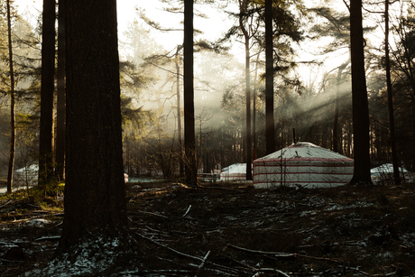 Yurt in Drenthe