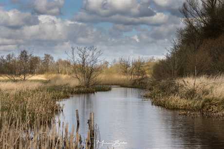 Kooipolder,  Slochteren 