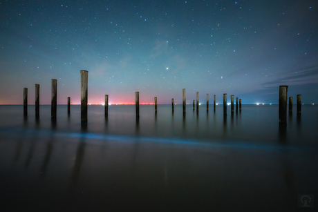 Sea Sparkles