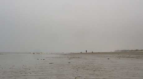 Regenachtig grijs op Schiermonnikoog