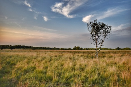 Zonsondergang Bargerveen