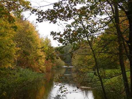 herfst in het natuurpark