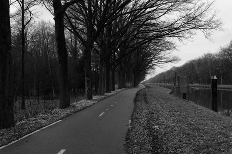 Om en bij "Brug Groene woud"
