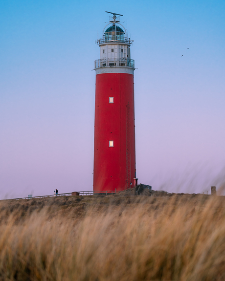 Soft winter light