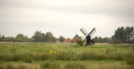 Summer school # Landschap