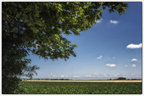 Gouweveer polder